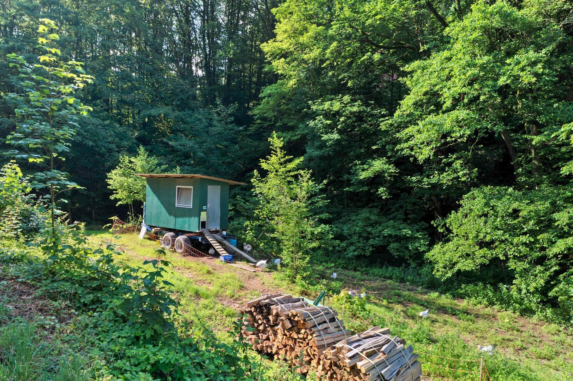 Ferienwohnung Am Hirschfelsen Bühlertal Exterior foto